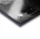  MG 8375 Acrylic print