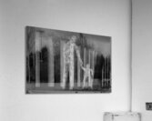  MG 8375 Acrylic Print