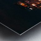 DSCN5077 2 Metal print