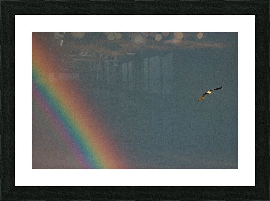 IMG 0347 Picture Frame print