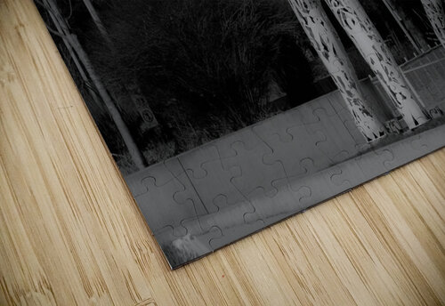  MG 8375 CineshotXfilm puzzle