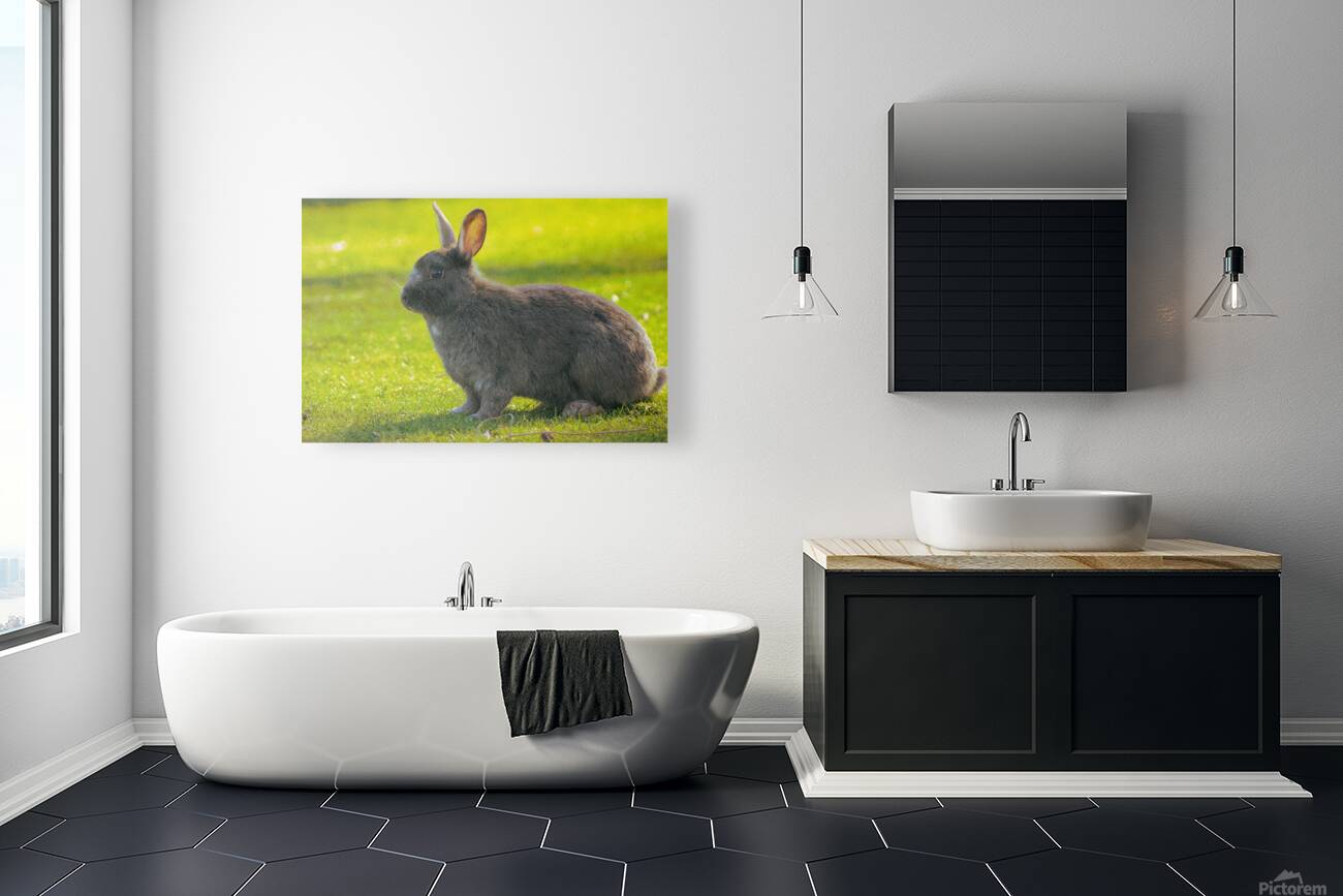  MG 8403 Reproduction