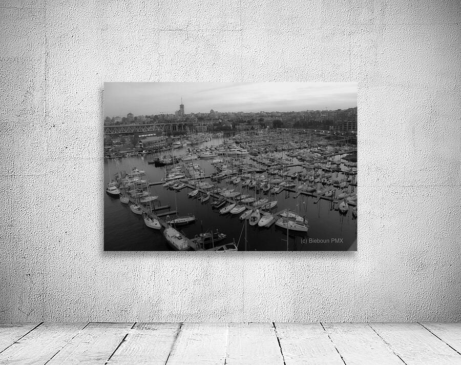 IMG 6997 Wall Preview