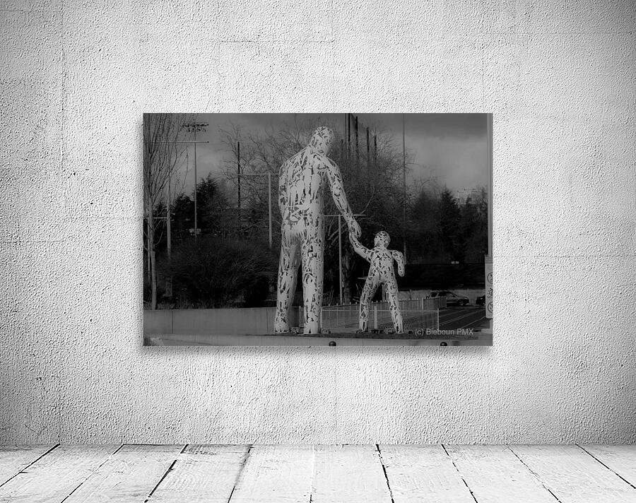  MG 8375 Wall Preview