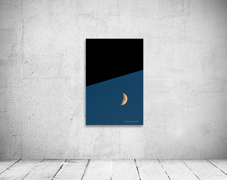 IMG 6347 Wall Preview