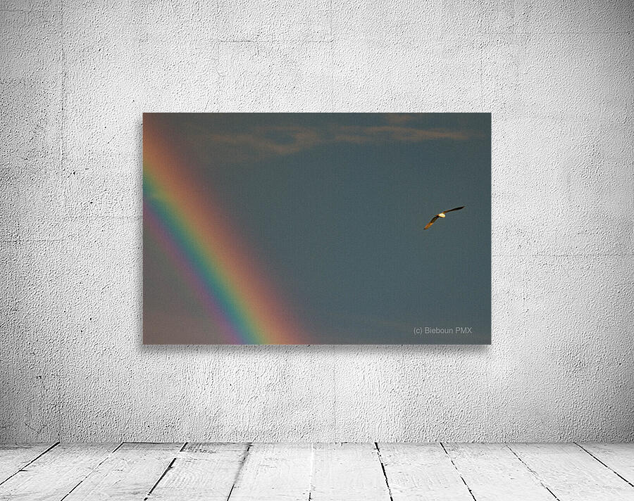 IMG 0347 Wall Preview