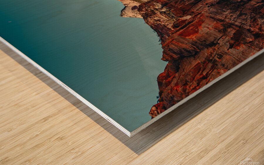 Zion Overlook Wood print