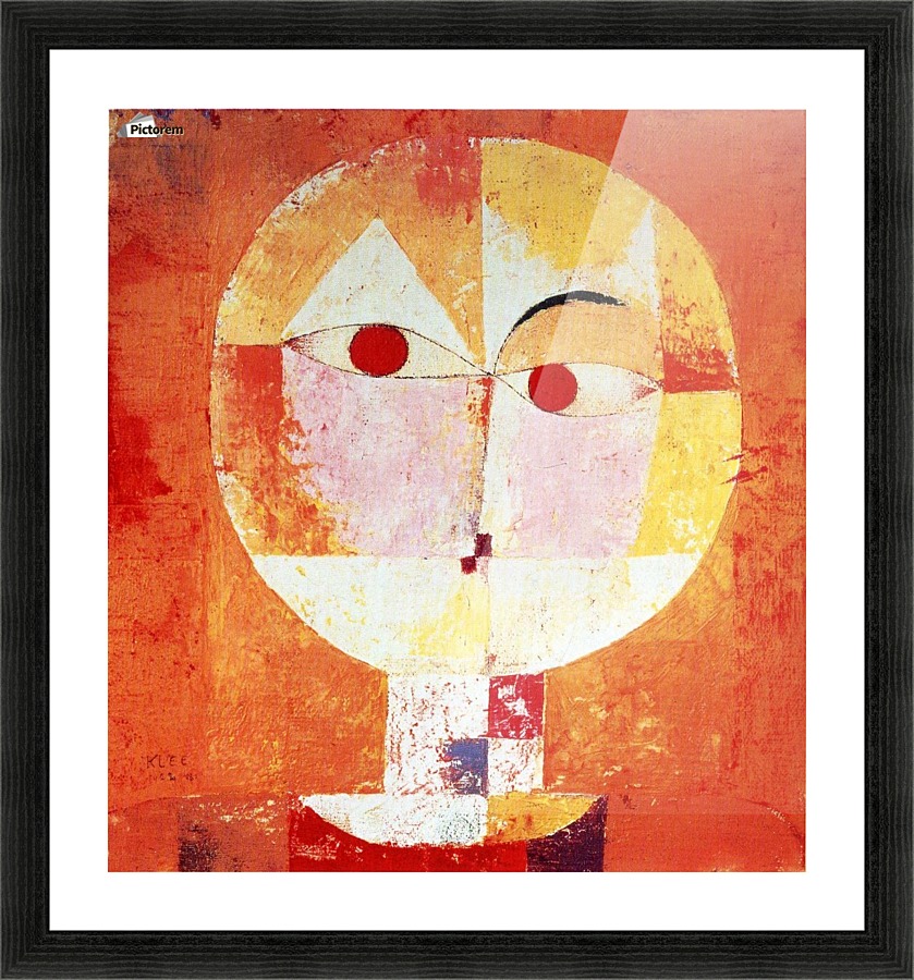 Senecio Picture Frame print