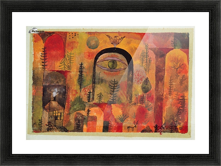 The eagle Picture Frame print