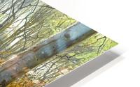 Spring landscape with lake and rocks in a forest HD Metal print