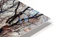 Winter landscape with several trees HD Metal print
