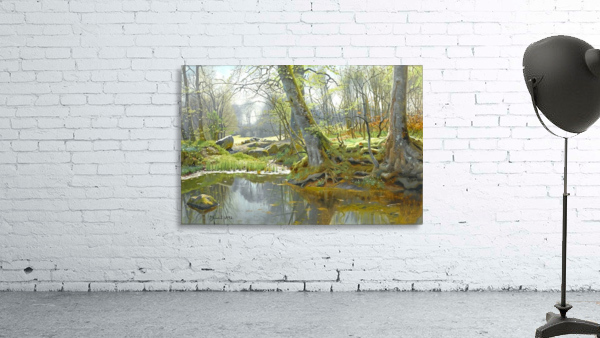 Spring landscape with lake and rocks in a forest Wall Preview