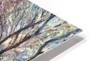 Landscape with big trees HD Metal print