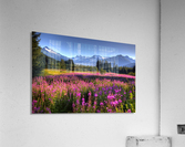 Mendenhall Glacier Acrylic Print