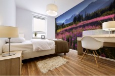 Mendenhall Glacier Mural print