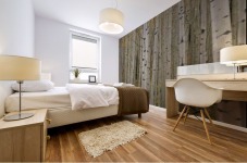 Aspen Grove Mural print