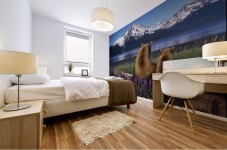 Grizzly Sow & Cub Mural print
