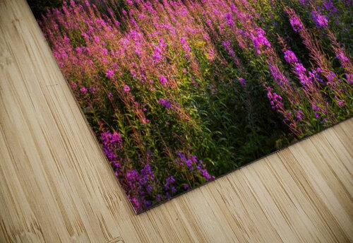 Mendenhall Glacier Printscapes puzzle