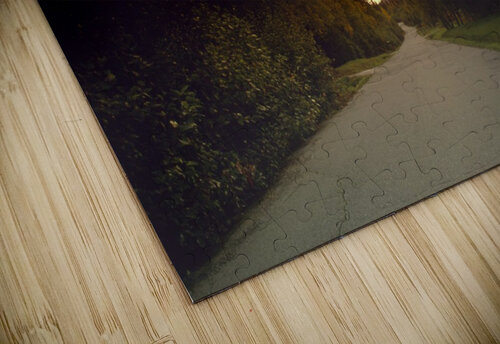 Road Into Sunset Printscapes puzzle