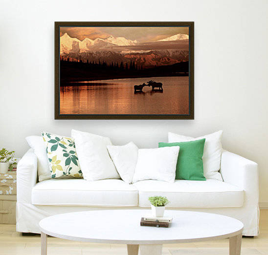 Moose Kissing by Printscapes