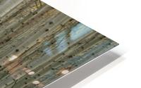 Aspen Grove HD Metal print
