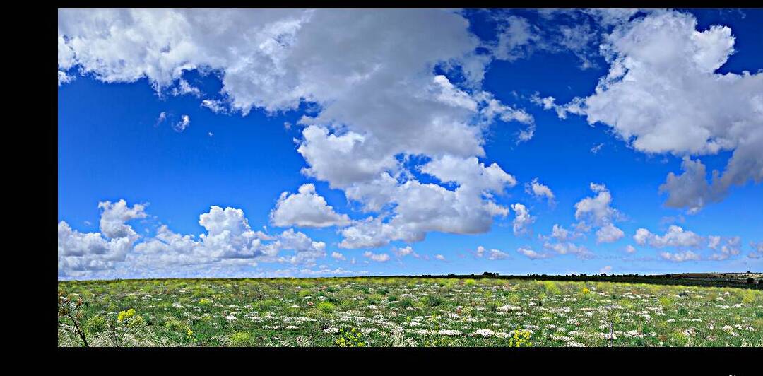 Spring hilly landscape with wildflowers on green field dominated from clouds: Alta Murgia National Park in Apulia Italy. by Giuseppe Colasanto
