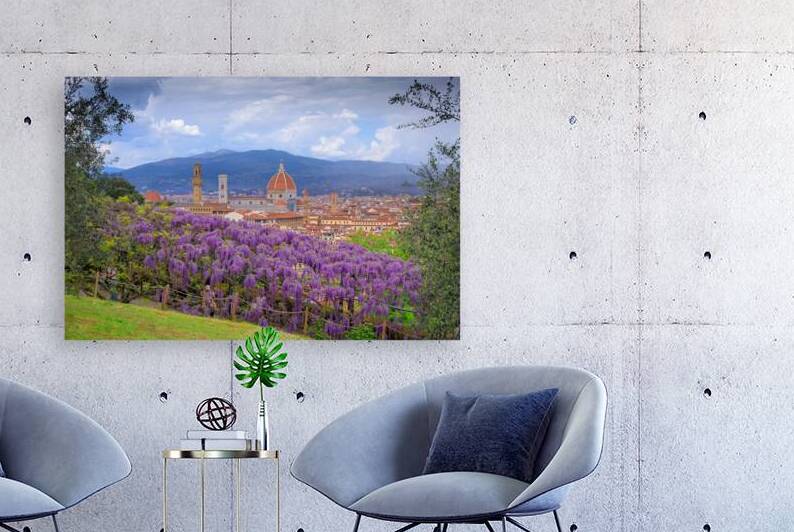 Springtime wiew of Florence: Cathedral of Santa Maria del Fiore as seen from Bardini Garden with typical wisteria in bloom. by Giuseppe Colasanto