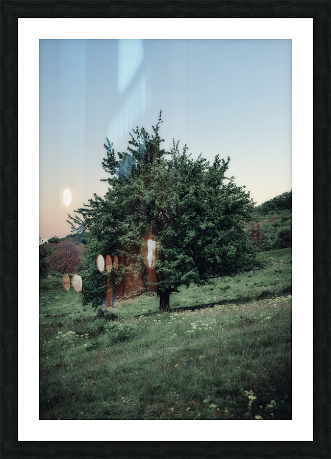  Fine Art print