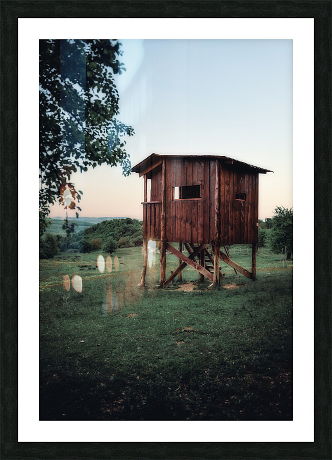  Fine Art print