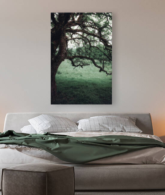 Moody Tree bough green nature summer  by G View Photography