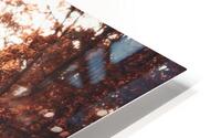 Autumn Forest Road HD Metal print