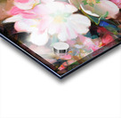 Apple Blossoms Acrylic print