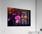 Contemplation Acrylic Print