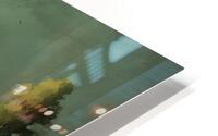 3IMG 1207 HD Metal print
