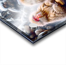 Macaques in hot spring Acrylic print