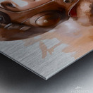 Lt. Cooper Williams Metal print