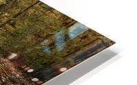 Autumn  HD Metal print