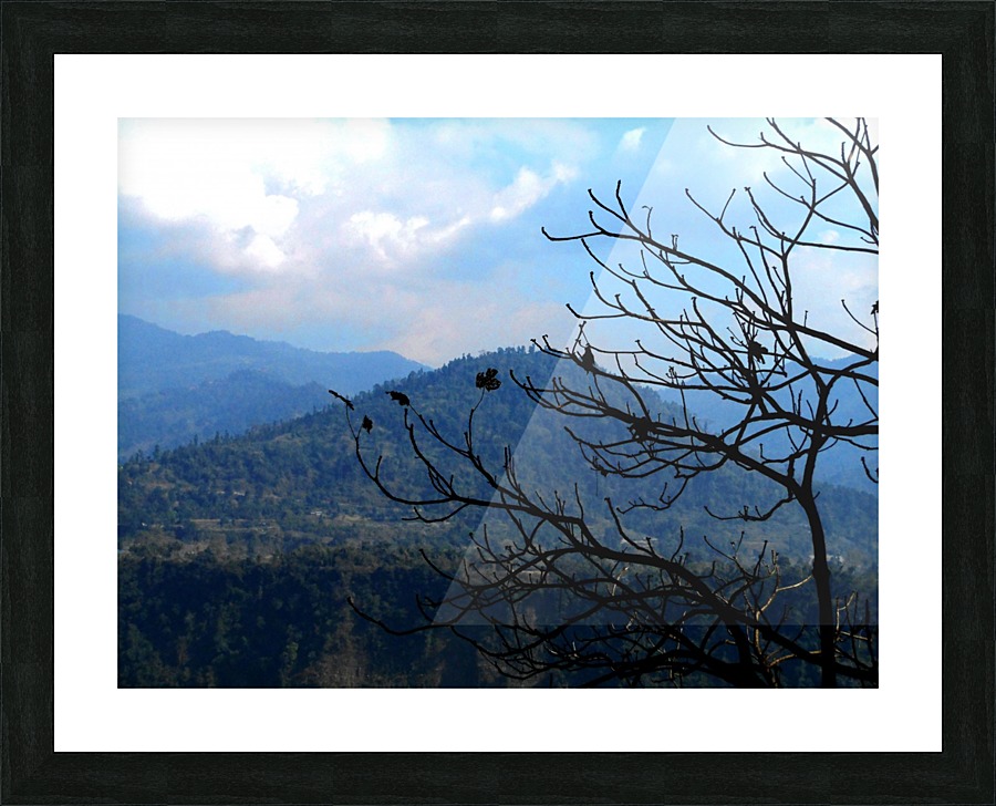 DSCN0375 Picture Frame print