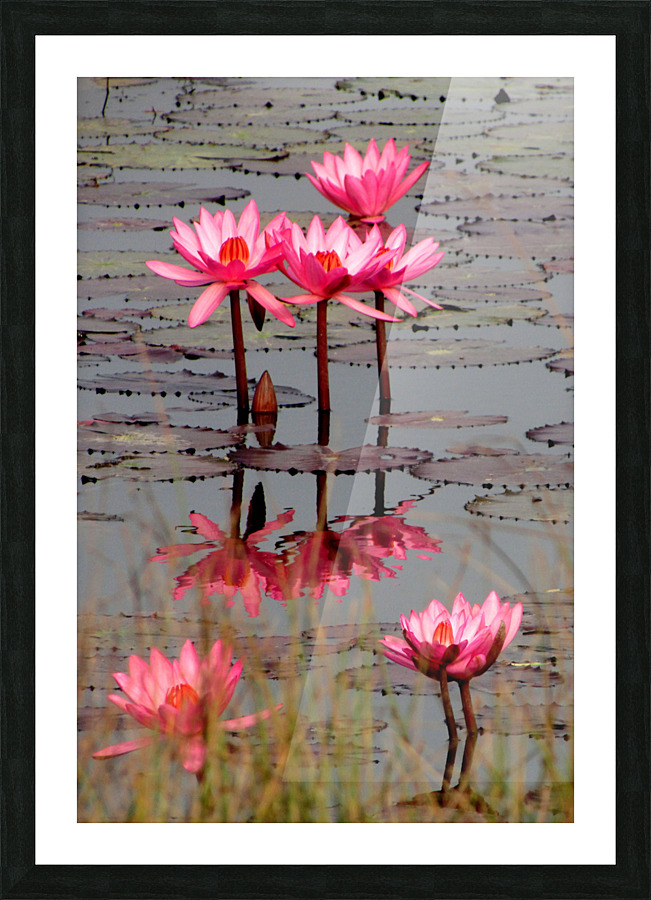 8x12 b copy Picture Frame print