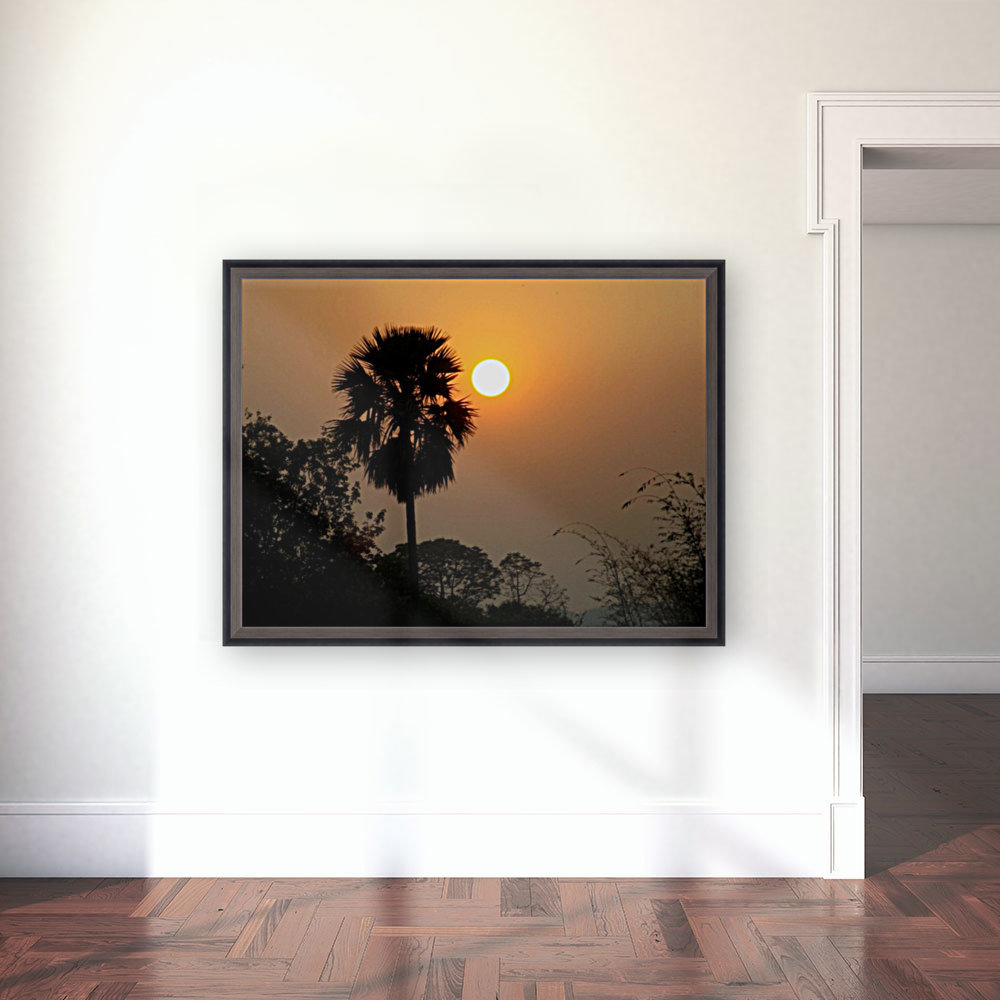 SUN SET Reproduction