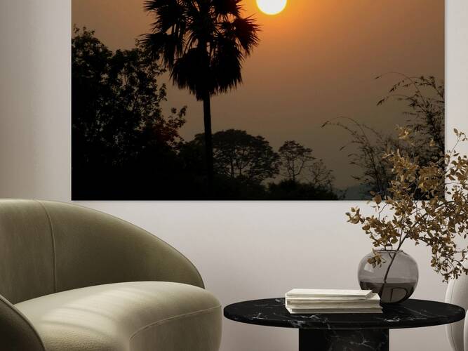 SUN SET Reproduction