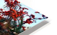 SPRING TIME HD Metal print