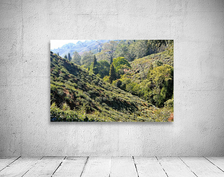 TEA  GARGEN Wall Preview