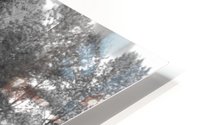 Walgreens Panoramic HD Metal print