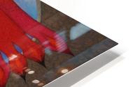 Facciones HD Metal print