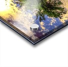 7 (5) Acrylic print