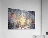 Winter road Acrylic Print