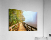 5 (1) Acrylic Print