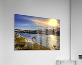 8a (1) Acrylic Print