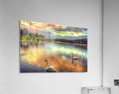17 Acrylic Print